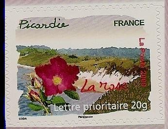 Regiones de Francia :Picardie - La rosa