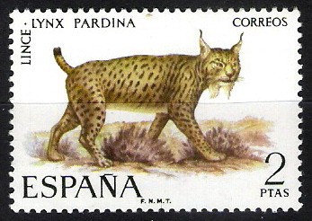 Fauna hispánica. Lince.