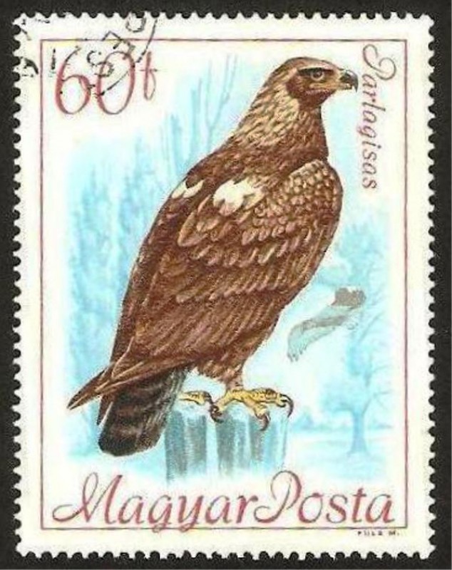 aguila, parlagisas