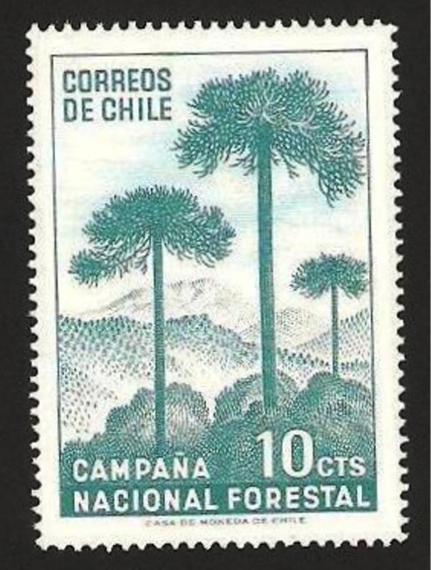 campaña nacional forestal