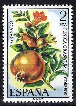 Flora. Granado, Punica granatum.