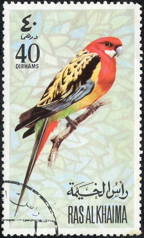 Ras Al Khaima