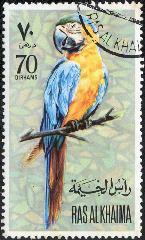 Ras Al Khaima