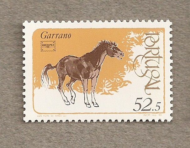 Caballo Garrano