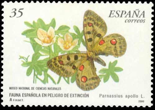 ESPAÑA 2000 3694 Sello Nuevo Fauna Española en Peligro de Extincion Mariposa Parnassius Apollo