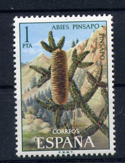 Pinsapo