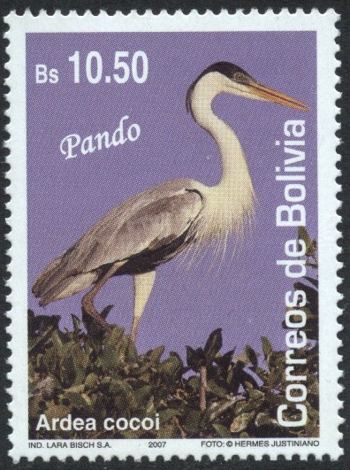 Aves de Bolivia - Pando