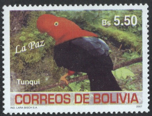 Aves de Bolivia - La Paz