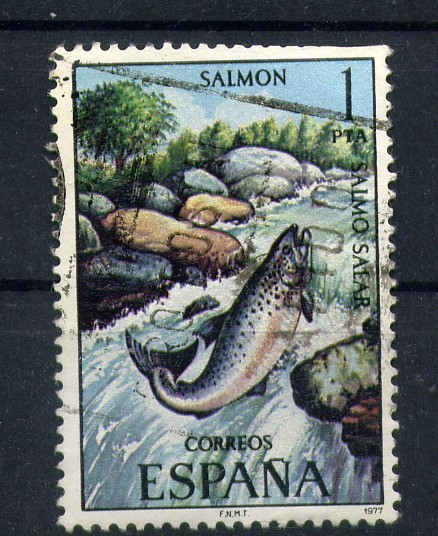 Salmón