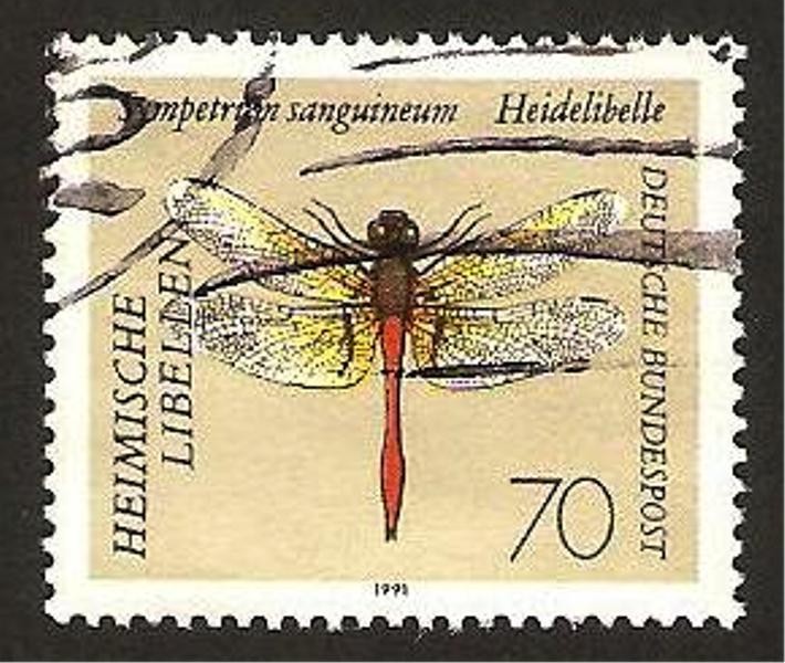 1378 - libélula, sympetrum sanguineum