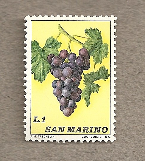 Racimo de uvas