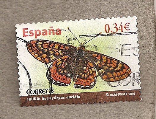 Mariposa Eupphydryas aurinia