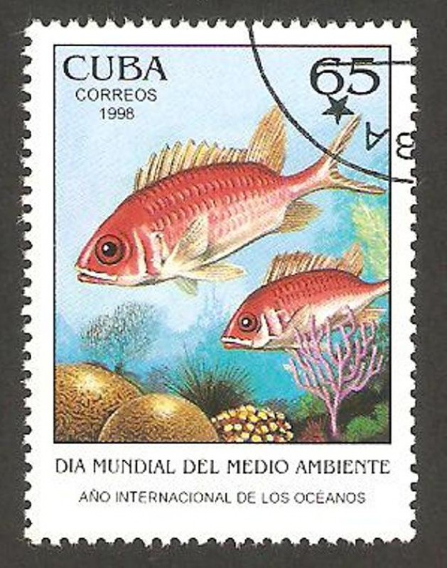 fauna marina, peces