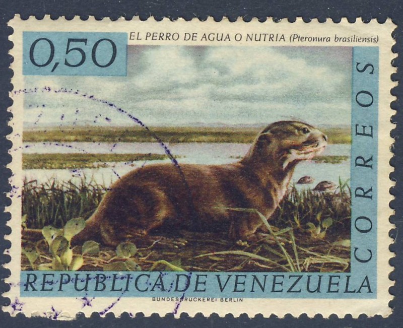 El perro de agua ó nutria