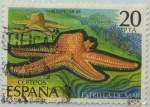 Stamps Spain -  Fauna-Invertebrados-Estrella de mar-1979