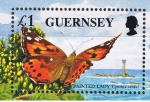 Stamps United Kingdom -  Guersney   