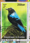 Stamps Guinea -  Animaux du monde