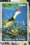 Stamps Guinea -  Animaux du monde