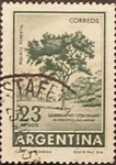 Stamps : America : Argentina :  