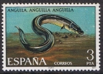 Stamps Spain -  FAUNA. PECES