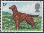 Stamps United Kingdom -  EXPOSICIÓN CANINA 