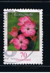 Stamps Germany -  Kartäusernelke