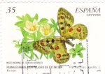 Stamps Spain -  fauna española en peligro de extincion-mariposa