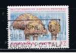 Stamps Spain -  Edifil  3244  Micología.  