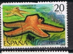 Stamps Spain -  Edifil  2534  Fauna. Invertebrados.  