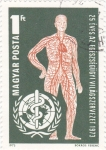 Stamps Hungary -  cuerpo humano