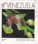 Stamps Venezuela -  Darwiniera bergoldii