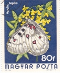 Stamps Hungary -  Mariposas