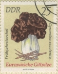 Stamps Germany -  Hongo bonete 