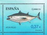 Stamps Spain -  Edifil  4799 B  Fauna Marina en peligro de extinción.  