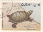 Stamps Cuba -  Tortuga marina