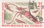 Stamps Republic of the Congo -  calamar