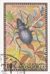 Stamps Mongolia -  insecto-calosoma fischeri