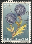 Stamps Yugoslavia -  Echinops ritro