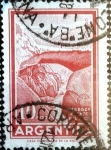 Stamps Argentina -  Intercambio 0,20 usd 10 pesos 1960