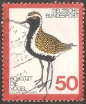 Stamps Germany -  goldregenpfeifer-chorlito dorado