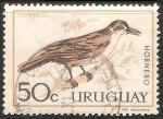 Stamps Uruguay -  Hornero