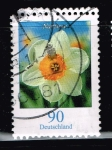 Stamps Germany -  Narzisse