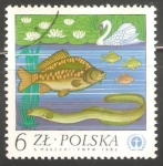 Stamps Poland -  pez y pato