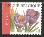 Stamps Belgium -  Azafranes