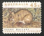 Stamps Australia -  Parma Wallaby 