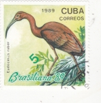 Stamps Cuba -   ave- BRASILIANA'89