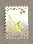 Stamps Slovenia -  Flora eslovena