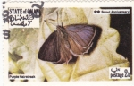 Stamps Oman -  mariposa