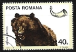 Stamps Romania -  Brown Bear (Ursus arctos)