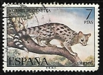 Stamps Spain -  Fauna Hispánica - Gineta